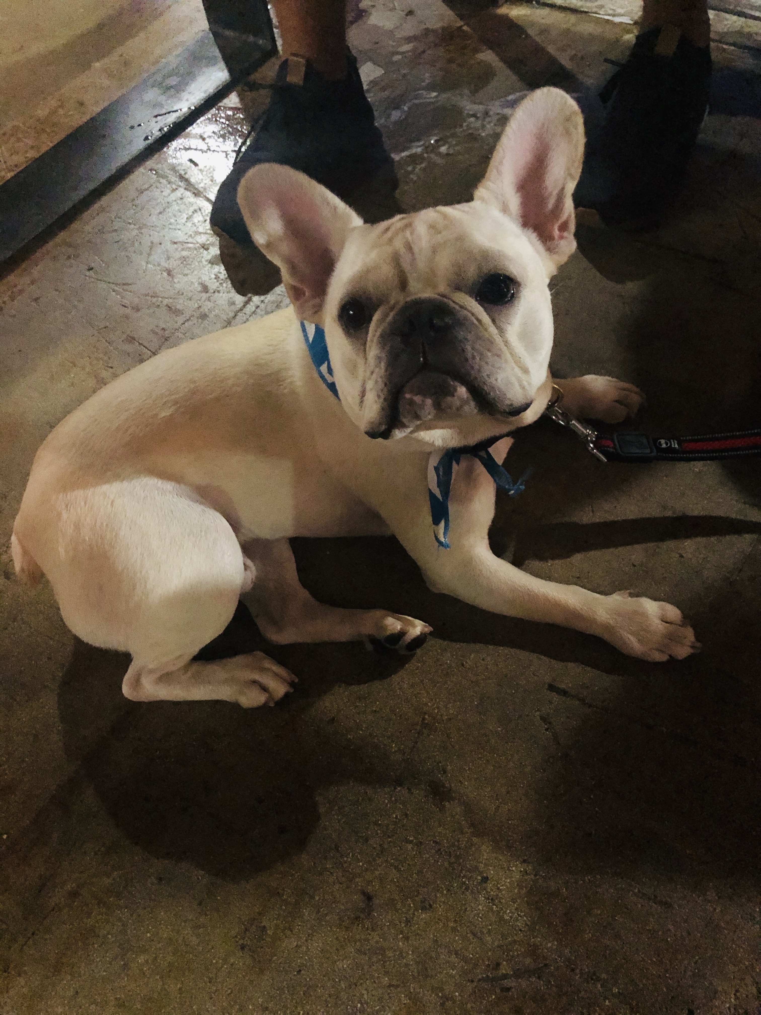 Flip the Script: How Rigid Sales Scripts Are Sabotaging Your Success